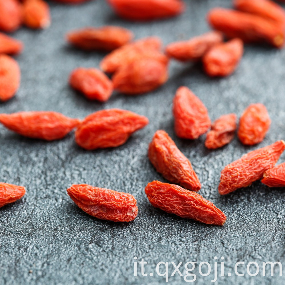 Red Goji Berries Wolfberries Fruit